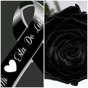 Meet your Posher, Mayela linet